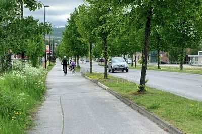 I september 2021 får syklister og fotgjengere på denne strekningen i Nordre Ål på Lillehammer høystandard sykkel- og gangvei. Samtidig får området nye vann- og avløpsledninger. Statens vegvesen og Lillehammer kommune har gått sammen i et fellesprosjekt.