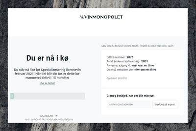 Flere stusset på at de ble sendt fra Vinmonopolets nettsted til en virtuell polkø på nettstedet vinmonopolet.queue-it.com. Kunne det dreie seg om hacking?