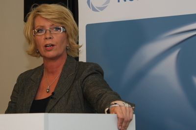 Haga var leder av Senterpartiet fra 2003 til 2008. Hun har hatt tre statsrådsposter og fra 2009 til 2010 var Haga prosjektdirektør for fornybar energi i Norsk Industri (bildet).