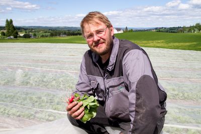 – Vi får større avlinger med bedre kvalitet, sier Einar Dyste i Lundstad grønt AS.