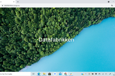 Datafabrikkens nettsider står klare, foreløpig helt uten funksjonalitet