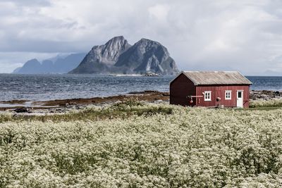 Illustrasjonsbilde. Både Telia og Telenor rapporterer om at stadig flere nordmenn velger fast trådløst bredbånd med egen antenne for å få stabilt nett og ubegrenset databruk på hytta.