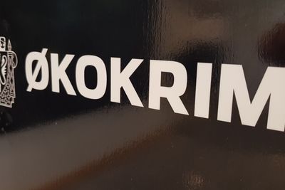 Økokrim foretar en organisasjonsendring i 2021 og skal ansette en leder for dataetterforskere og teknologer.