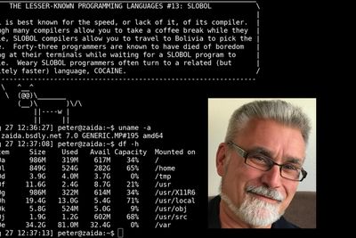 Peter Hansteen har brukt operativsystemet OpenBSD i mer enn 20 år. Bildet viser et terminalvindu på hans bærbare PC.