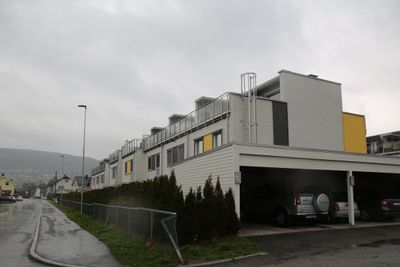 Strømsgodset hageby.