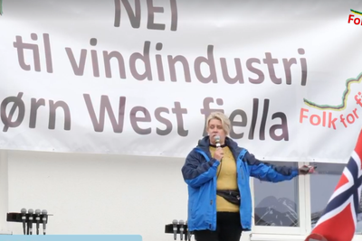 Norges nye olje- og energiminister Marte Mjøs Persen (Ap) holdt i mai i år appell på en demonstrasjon mot vindkraft i Matrefjellene. 