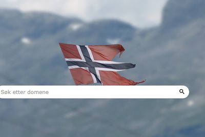 Søk etter norske domenenavn.