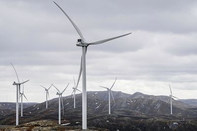 Roan vindkraftverk ble satt i drift i 2019 og består av 71 turbiner. Nå står striden om hvorvidt disse og de 80 turbinene på Storheia må rives.