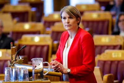 Finanspolitisk talsperson Kari Elisabeth Kaski fra SV sier til avisen DN at arbeidsgiveravgiften må tas ned i to omganger, og skal helt fjernet i neste års budsjettrunde.