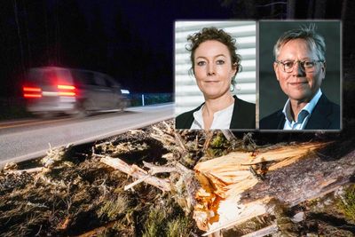 Sikkerhetsdirektør Elise Lindeberg og administrerende direktør Pål Wien Espen i Nasjonal kommunikasjonsmyndighet vil styrke samarbeidet mellom kraft- og telebransjen.