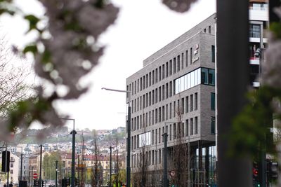 Microsoft Norges lokaler i Bjørvika.