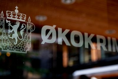 Økokrim tok seg inn i Petronors kontorer i Oslo onsdag. Torsdag morgen opplyser selskapet at direktøren ble pågrepet i aksjonen. Det er ukjent hva han er siktet for.