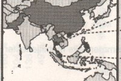 Telenor i Asia.