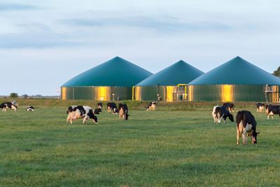  Energiutnyttelse fra biogass har aldri vært så aktuelt som det er nå, og det er ikke så vanskelig som man skulle tro. Foto:  Wikimedia Commons@JoachimKohlerBremen