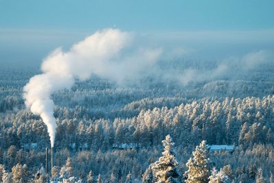 Finland skal kutte alle klimagassutslipp innen 2035. Men mer avskoging gjør målet vanskelig å nå. Her fra Ruka i Finland.
