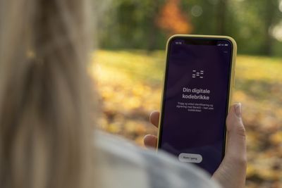 BankID-appen krever iOS eller Android. Har du noe annet eller en Android-telefon uten Google-tjenester, da må du bruke kodebrikke.