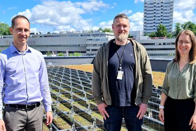 Trygve Mongstad (til venstre) hadde jobbet 15 år med solenergi da han kom på ideen som kan løse konflikten mellom grønne tak og solceller. Det setter Andreas Nilsen og Magnhild Kallhovd i Oslobygg pris på.