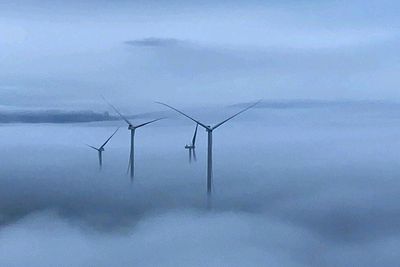 Ny vindkraft presser ned kraftprisene. Nå bygger Sverige 25 TWh
