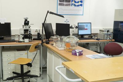 Slik ser  nanomekanisk laboratorium på NTNU. En gjesteforsker nektet adgang hit av instituttledelsen.
