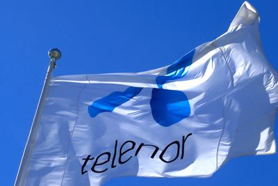 El og IT-forbundets konserntillitsvalgte i Telenor mener selskapet må gjøre mer for å sikre seriøse underleverandører.