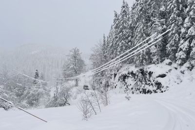 Over 2.000 husstander i Agder var uten strøm tirsdag kveld fordi tung, våt snø bøyer trær over linjene. Slik så det ut i Birkenes tirsdag ettermiddag.