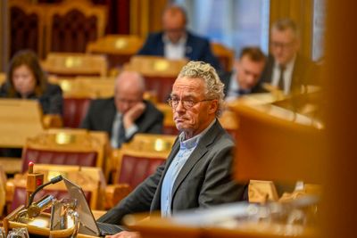 Rasmus Hansson (MDG) under en muntlig spørretime på Stortinget tidligere i november.