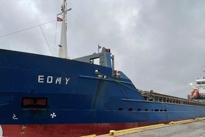 Bulkskipet MS Edmy er 118 meter langt. Da det kolliderte med et fiskefartøy, var det på vei fra Larvik til København. 