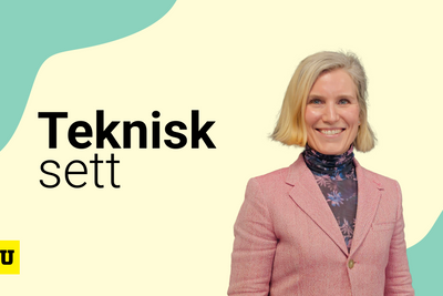 Sivilingeniør Birgit Farstad Larsen er ny administrerende direktør i Cowi.
