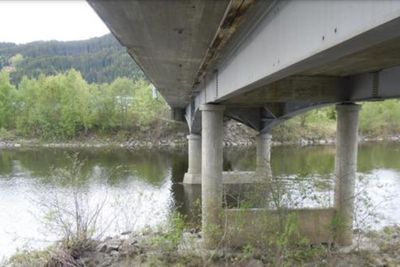 Bårdshaug bru krysser Orkla, og er en seksspenns bjelkebru, 133,5 meter lang.