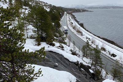 En del av området som skal sikres. Vi ser riksveien og jernbanelinja ytterst mot sjøen. 