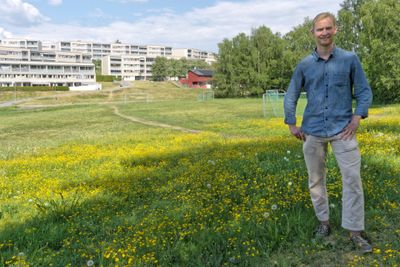 Under gresset og blomsterengen skal Sigmund Langedal Breivik lede arbeidet med å bore 170 hull ned til 150 meter og bruke fjellet til varmelager. Det tekniske bygget som føres opp blir i tillegg hotell for flaggermus og innsekter.