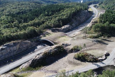 Denne store vilovergangen er ett av eksemplene på miljøtilpassing på veiprosjektet E39 Mandal øst-Mandal by.