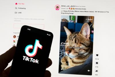 Fra fredag av er nettgiganter som Tiktok pålagt å sikre at tjenestene deres ikke fremmer forbudt innhold eller reklame rettet mot barn og unge.