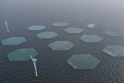 Mellom turbinene i havvindparken utenfor Nederland skal det installeres 54 flytende og sammenlenkede triangler i aluminium med solpanel på dekk