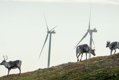 Det har gått to år siden Høyesterett konkluderte med at konsesjonsvedtaket for vindkraftutbygging på Fosen var ugyldig.