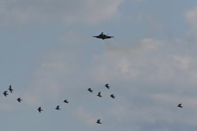Det er en god del kollisjoner mellom fugl og fly. Noen ganger er det mest dramatisk for fuglen, men det kan både skade fly og føre til alvorlige ulykker. Her sees et amerikansk F-35A under Nato-dagene i Tsjekkia tidligere i år.