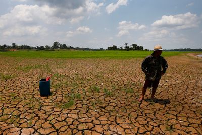 En mann kikker utover et tørkerammet område ved elva Solimoes i den brasilianske delstaten Amazonas i midten av oktober. Klimaendringene bidrar til å øke risikoen for tørke mange steder i verden.