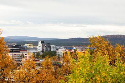 Etter at det ble påvist store forekomster av magnetitt her på slutten av 1800-tallet, har byen Kiruna vokst frem rundt malmfjellet Kiirunavaara. Gruvedriften er også årsaken til at hele bykjernen nå har blitt flyttet.