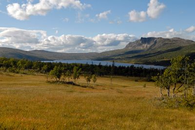 Forbudet Miljødirektoratet foreslår vil gjelde all myr i Norge, uavhengig av torvdybde og høydelag. Det tilsvarer omtrent ni prosent av arealet i Norge.