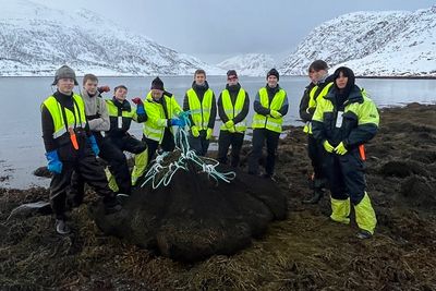 Tang og tare er allerede storindustri. Denne gjengen tilhører Polar Algae i Hammerfest. Nå kan deres lange erfaring få støtte av kunstig intelligens.