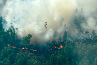 Skogbranner er blant årsakene til skydekket endres, som igjen påvirker forskjellen mellom dag- og nattetemperatur. Her fra brannen i Ljusdal i Sverige i 2018.
