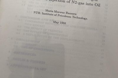 Maria Moræus Hansen hovedfagsoppgave 1988 masteroppgave nitrogen flerfase