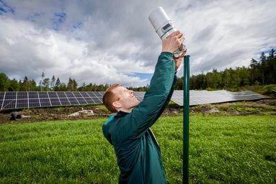 Ingeniør Erlend Hustad Honningdalsnes rigger opp en værstasjon ved Buer solkraftverk. Han skal bidra til å skaffe kunnskap om hvordan pollinatorer trives i solparken.