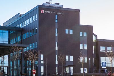 Universitetet I Agder er medarrangør av en konferanse der flere kinesiske forskere med nære forbindelser til kinesiske myndigheter skal delta. 