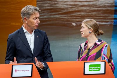 Stortingsrepresentant Une Bastholm (MDG) mener energiminister Terje Aasland  (Ap) og regjeringen har overkjørt egne fagmyndigheter når den har åpnet for kartlegging av havbunnsmineraler. 