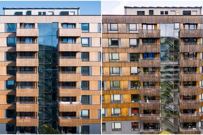 Sju år gammel varmebehandlet furu i studentbyen på Kringsjå. – Vi hadde regnet med en mer naturlig gråning, sier arkitekten.