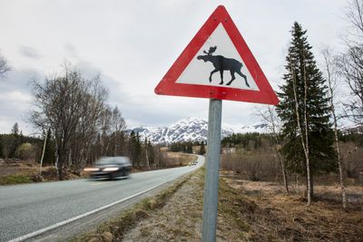 Denne typen skilt har du kanskje sett så mange ganger at du ikke tenker over hva det varsler. I hvert fall sier Sintef-forsker Lillian Hansen at testing av både dette og blinkende skilt har vist lav effekt.