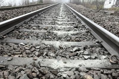 Bergensbanen er stengt mellom Voss og Myrdal etter at et godstog sporet av natt til fredag.

