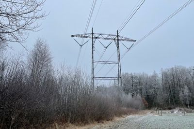 Strømprisene faller mens nettleien øker for husholdningene. 