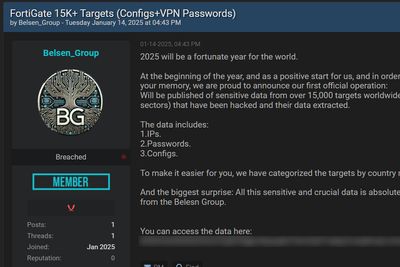 Hackergruppen markerer nytt år med sin første operasjon. Datasamlingen gis bort for å bygge merkevare, ifølge kunngjøring i et undergrunnsforum.